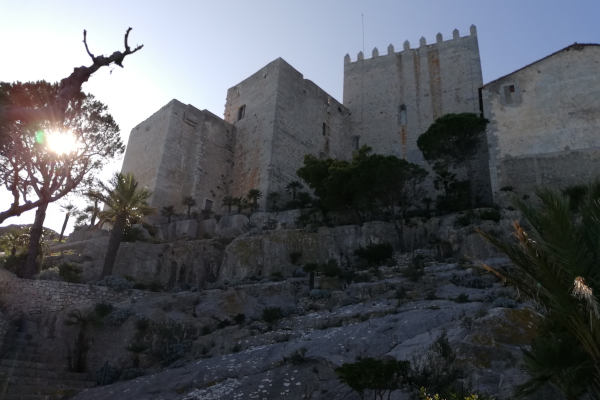 entradas al castillo y el parque de artillería incluídas