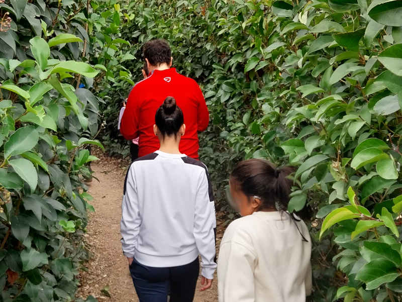 escape room para teambuilding en peñíscola