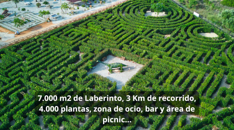 nuevo escape room para colegios en el laberinto de peñiscola